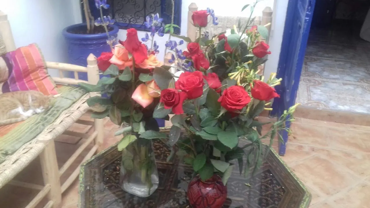 Riad Chez Dali Marrákes